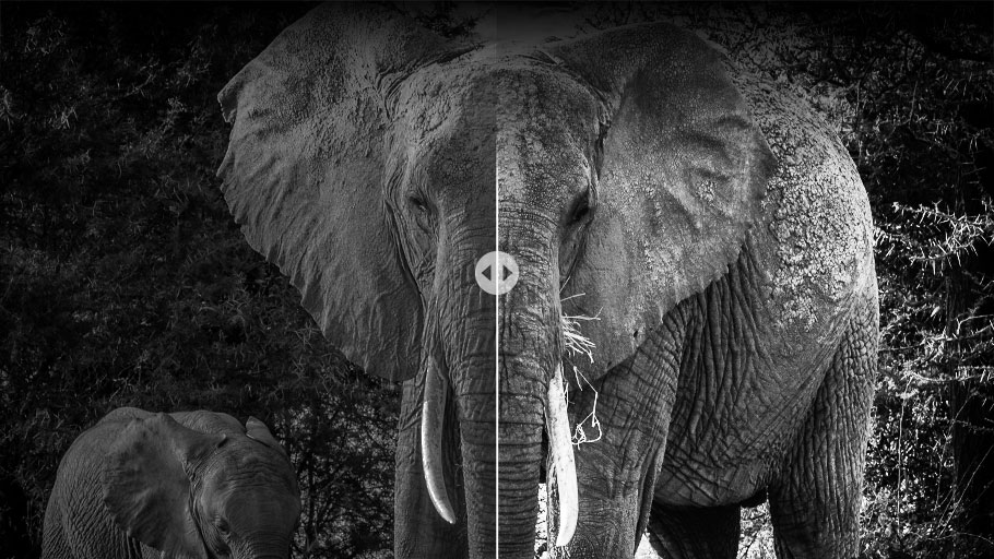 中心比照度4000:1