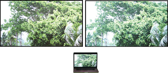 好博(中国)体育智能科技股份有限公司网站