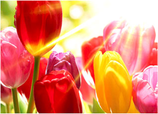 好博(中国)体育智能科技股份有限公司网站