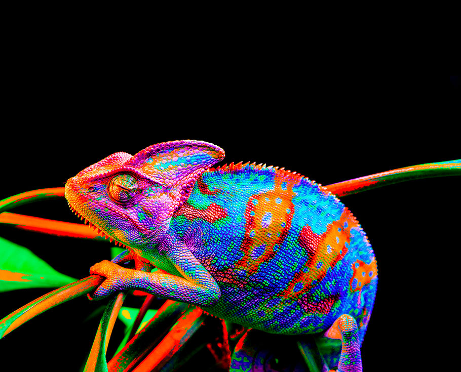 好博(中国)体育智能科技股份有限公司网站