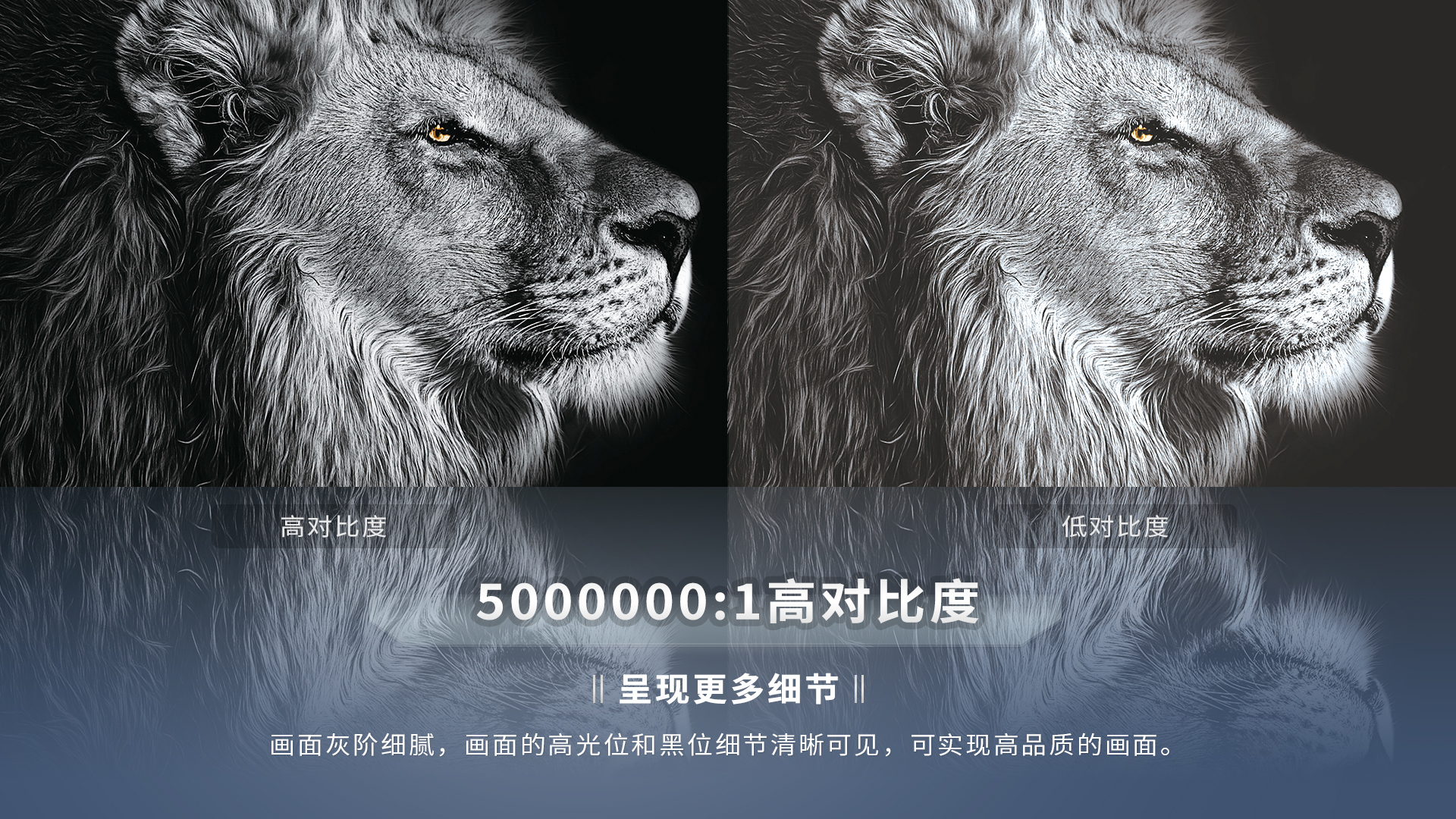 好博(中国)体育智能科技股份有限公司网站