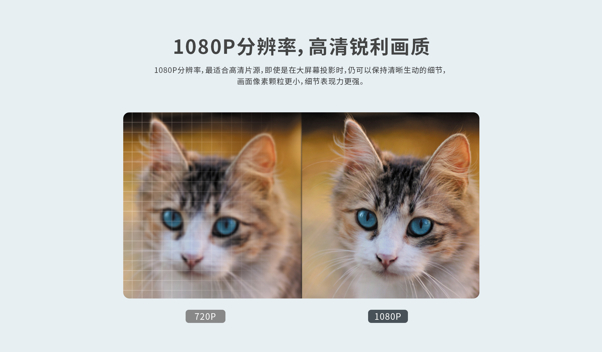 好博(中国)体育智能科技股份有限公司网站
